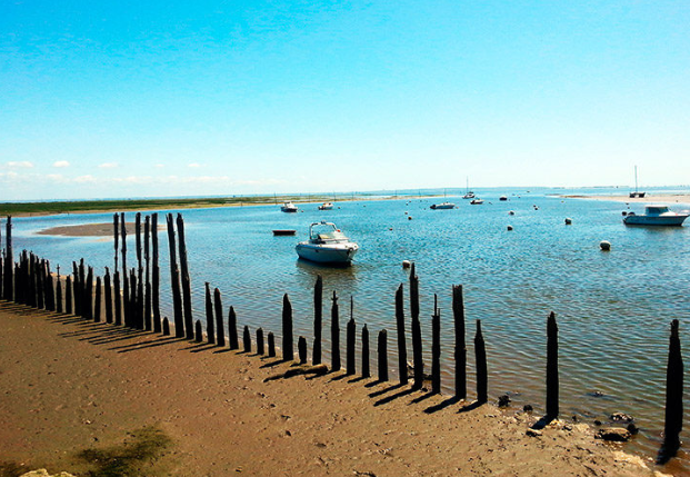 Bassin d’Arcachon : une destination idéale pour des vacances en famille Bassin d’Arcachon : une destination idéale pour des vacances en famille